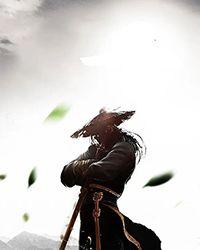 你管这叫D级能力?