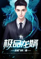 极品龙婿