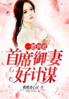 我嫁给了前夫他四叔免费阅读