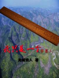 我只是一个修墓人