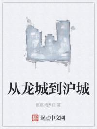 从龙城到沪城
